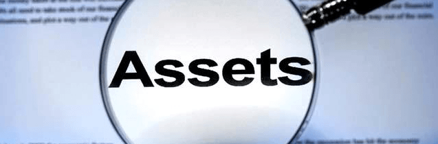 Asset Protection Image